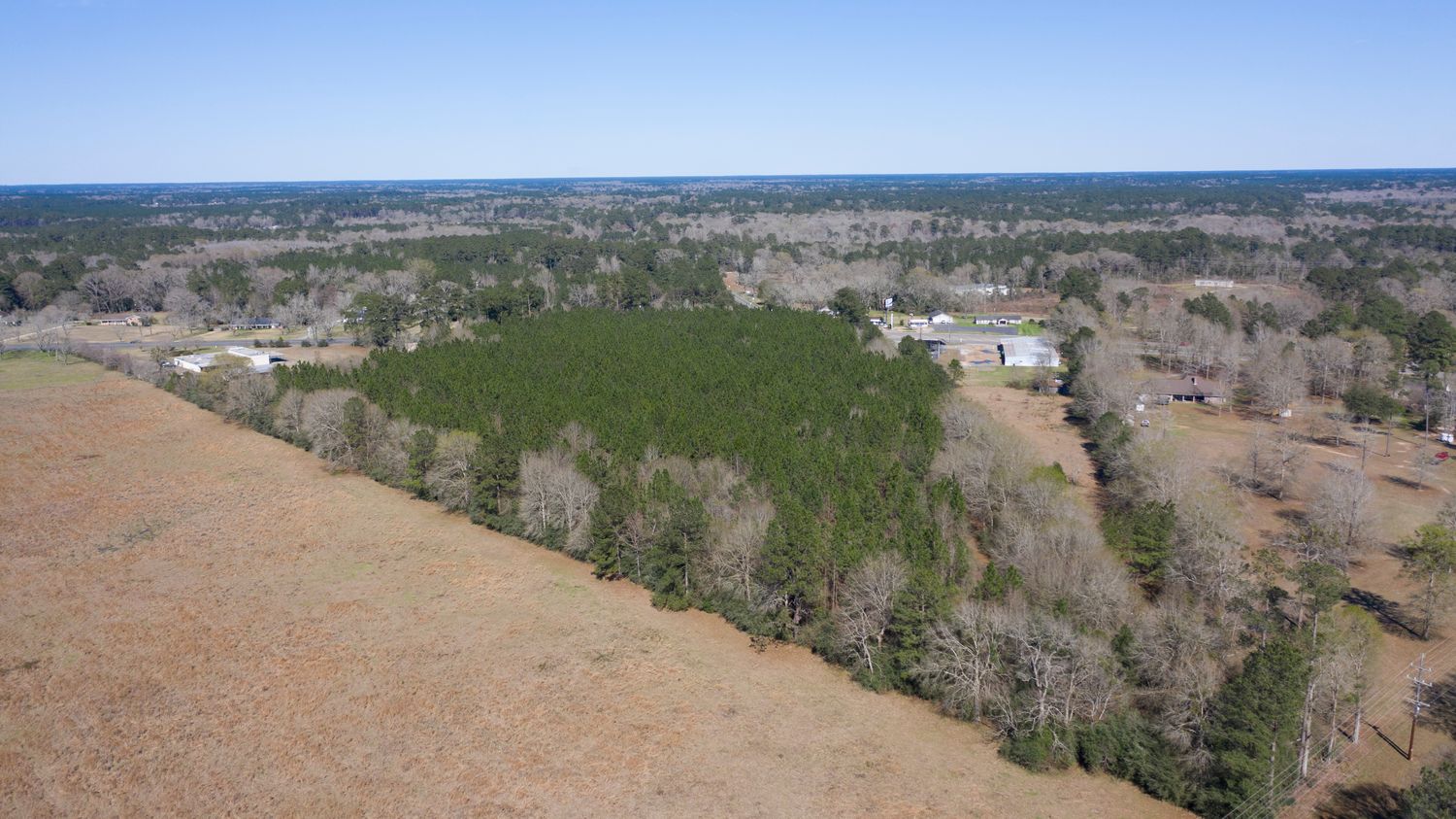 TBD Hwy 171, South: TBD Hwy 171, South, Deridder, LA 70634